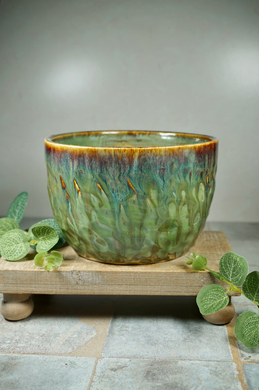 Forbidden Forest Planter w/ drainage hole